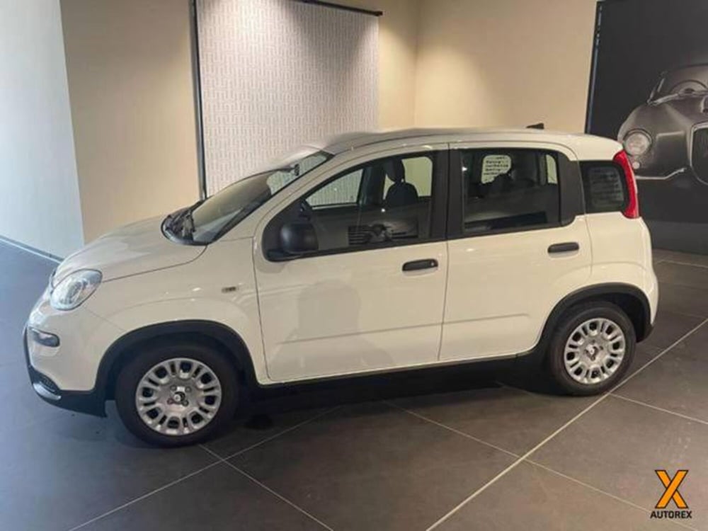 Fiat Panda nuova a Varese (4)