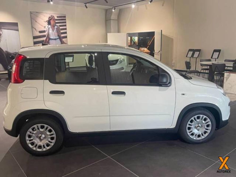 Fiat Panda nuova a Varese (5)