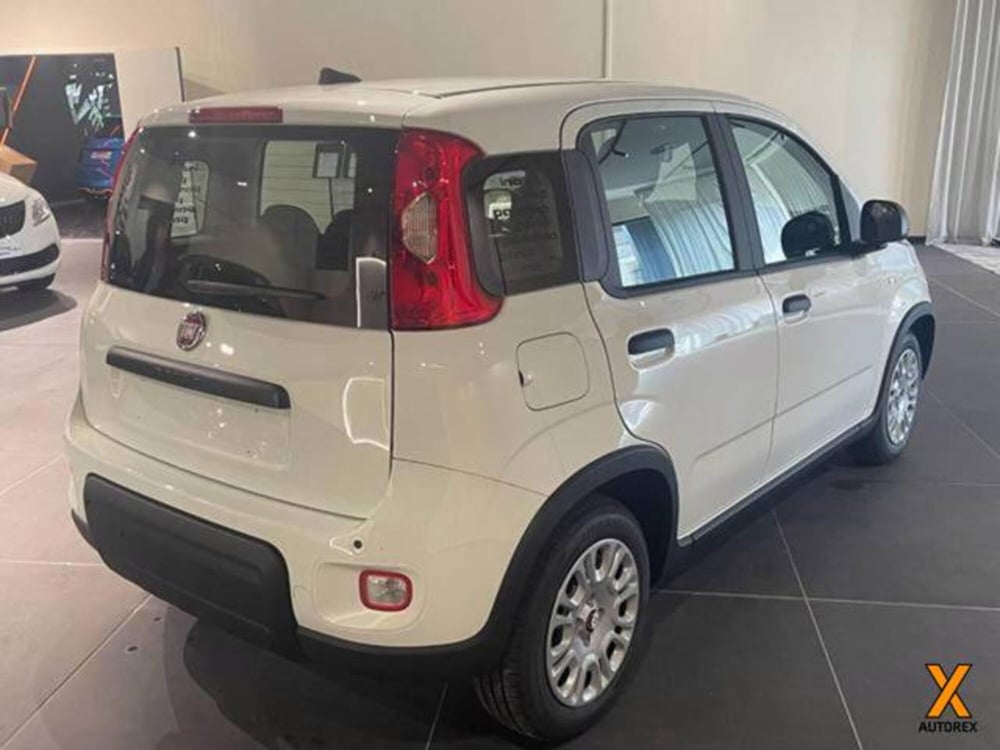 Fiat Panda nuova a Varese (6)