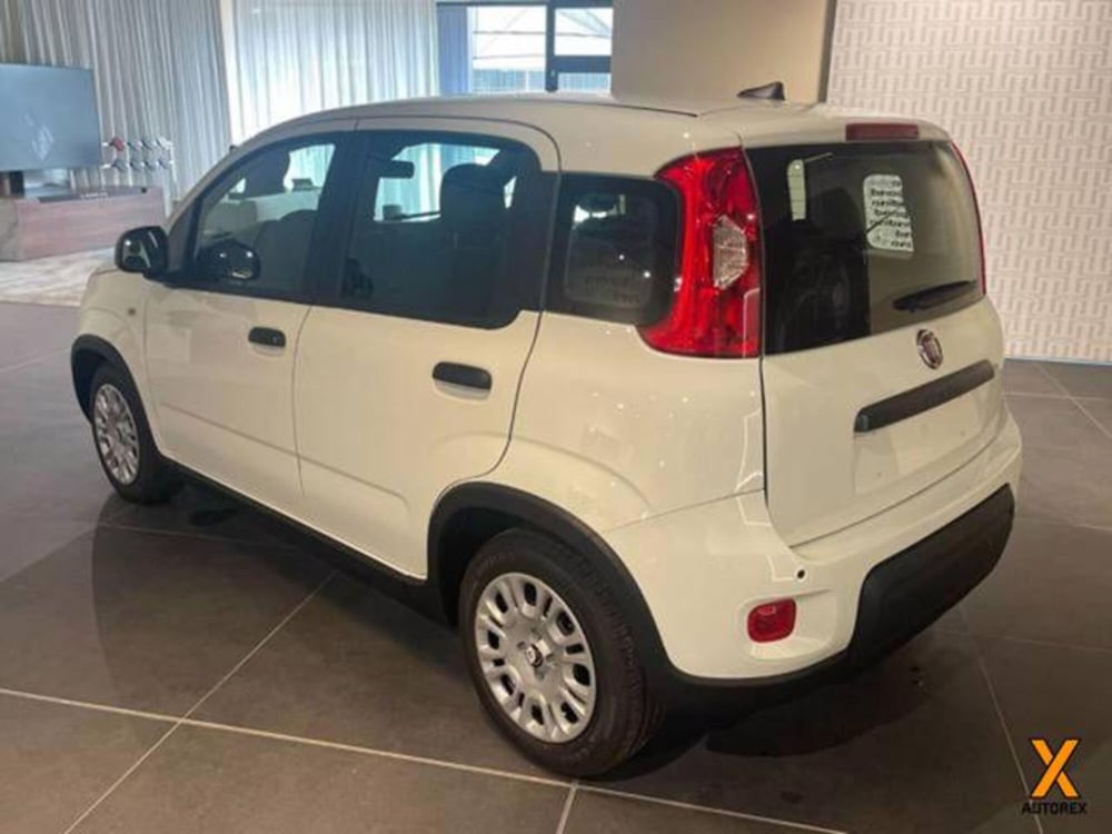 Fiat Panda nuova a Varese (9)