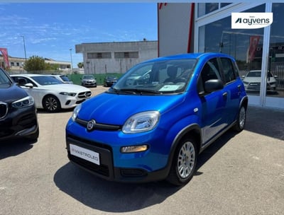 Fiat Panda 1.0 firefly hybrid s&amp;s 70cv 5p.ti del 2023 usata a Tricase