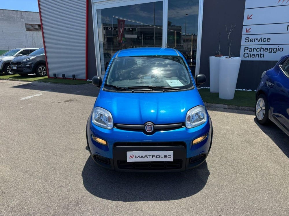 Fiat Panda usata a Lecce (2)