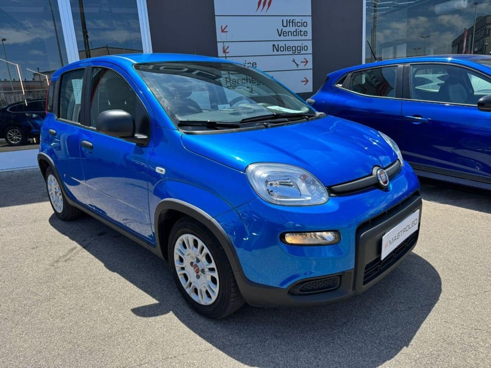 Fiat Panda usata a Lecce (3)