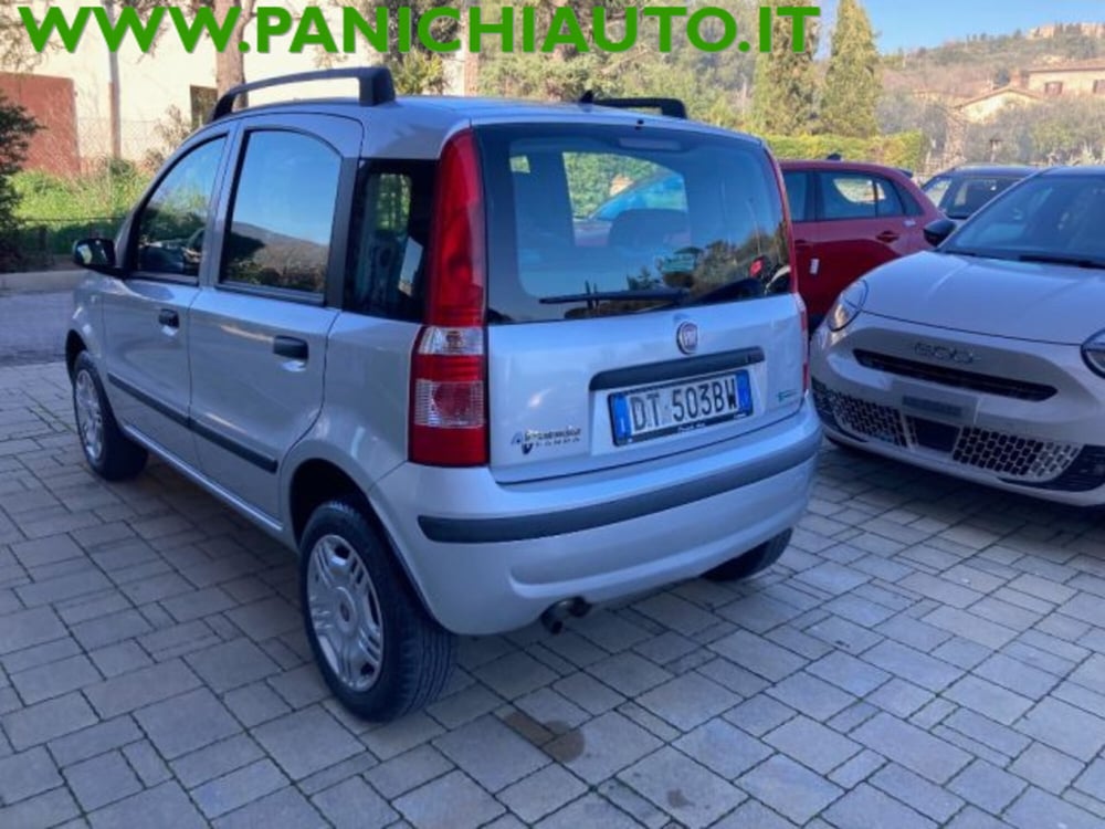 Fiat Panda usata a Arezzo (7)