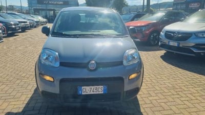 Fiat Panda 1.0 firefly hybrid s&amp;s 70cv 5p.ti del 2023 usata a Savona