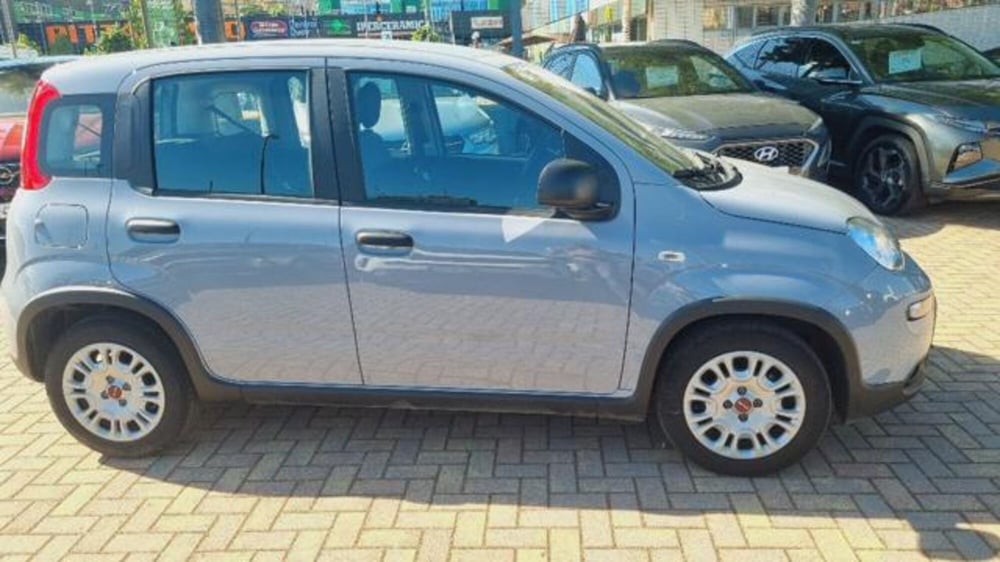 Fiat Panda usata a Savona (16)