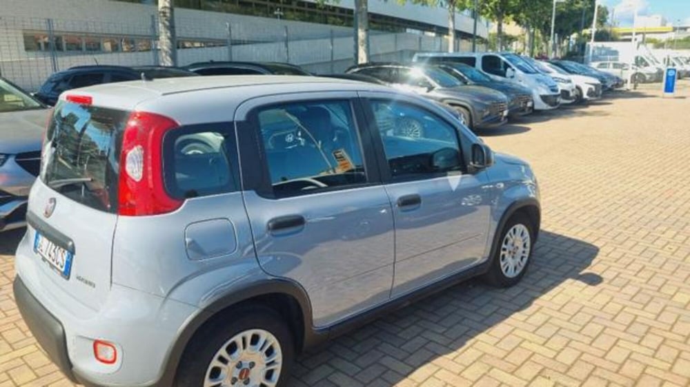 Fiat Panda usata a Savona (17)