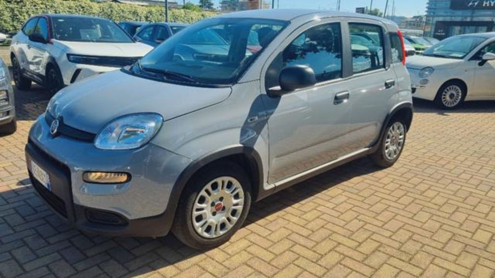 Fiat Panda usata a Savona (3)