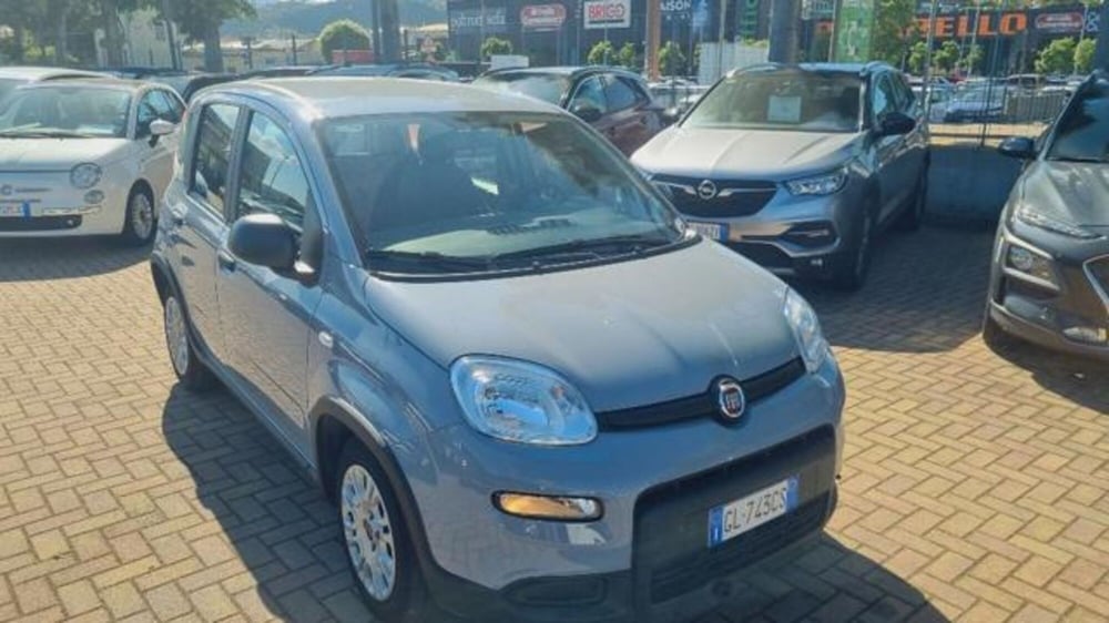 Fiat Panda usata a Savona (5)