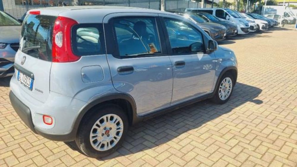 Fiat Panda usata a Savona (6)