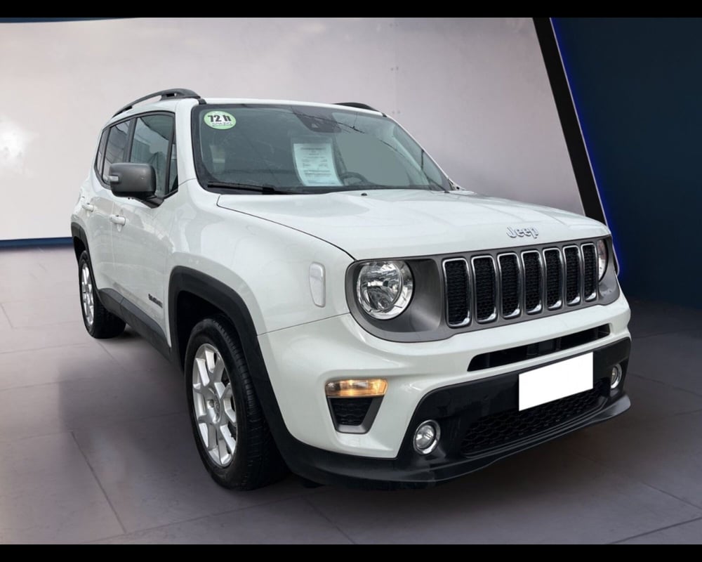 Jeep Renegade usata a Torino (5)