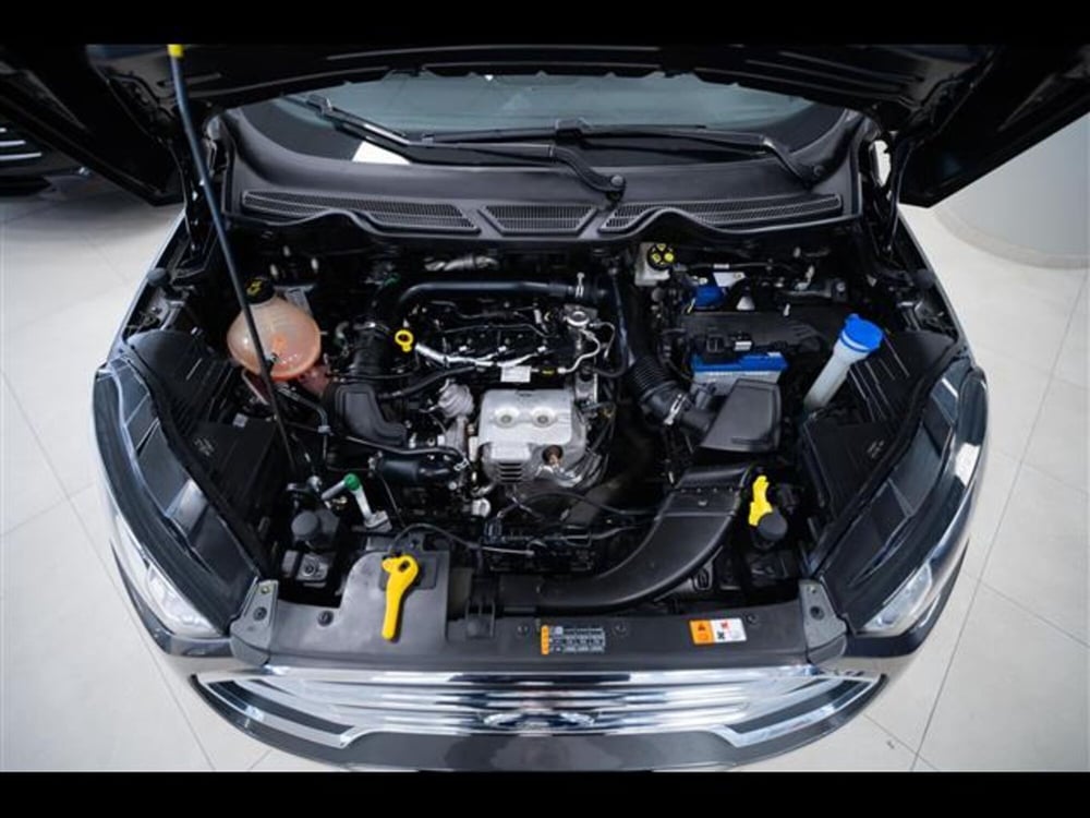 Ford EcoSport usata a Torino (14)