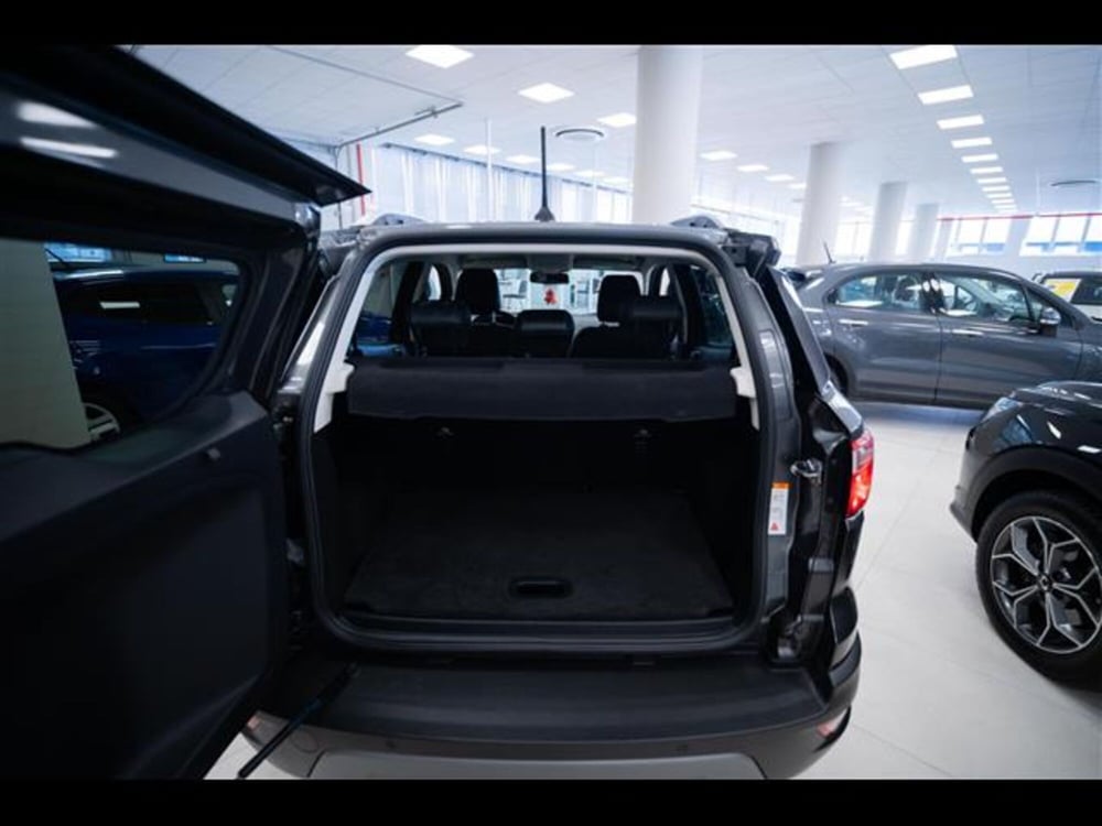 Ford EcoSport usata a Torino (15)