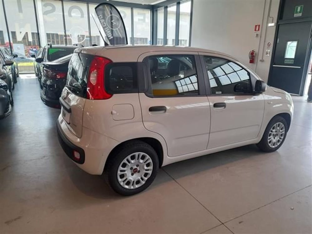 Fiat Panda usata a Cremona (3)