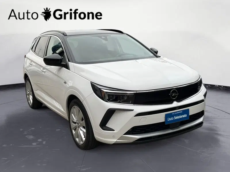 Opel Grandland X usata a Modena (10)