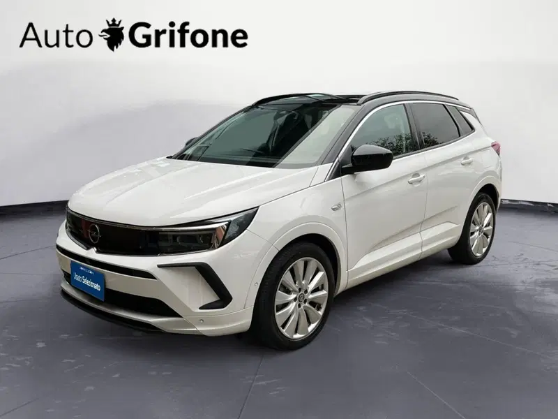 Opel Grandland X usata a Modena (2)
