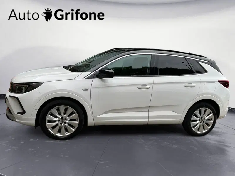 Opel Grandland X usata a Modena (4)