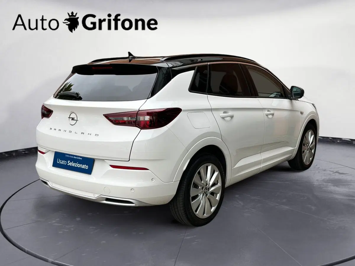 Opel Grandland X usata a Modena (7)