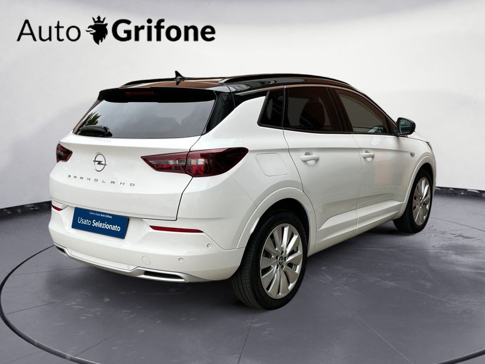 Opel Grandland X usata a Modena (7)