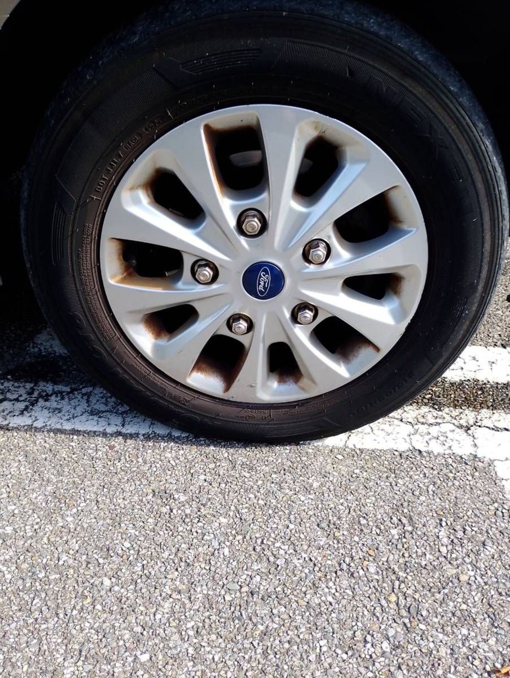 Ford Tourneo Custom usata a Salerno (19)