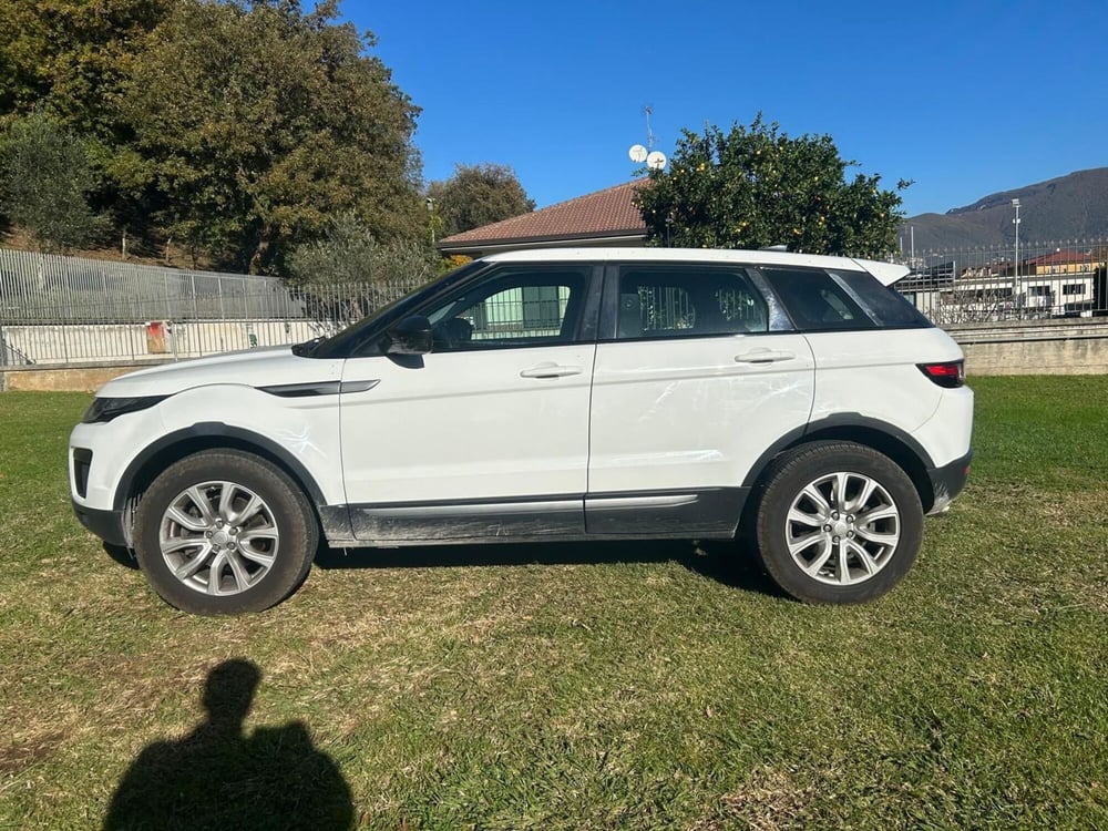 Land Rover Range Rover Evoque usata a Avellino (10)