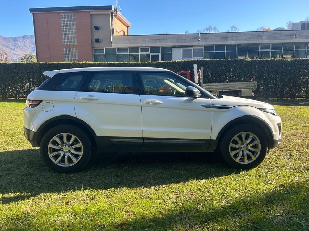 Land Rover Range Rover Evoque usata a Avellino (11)