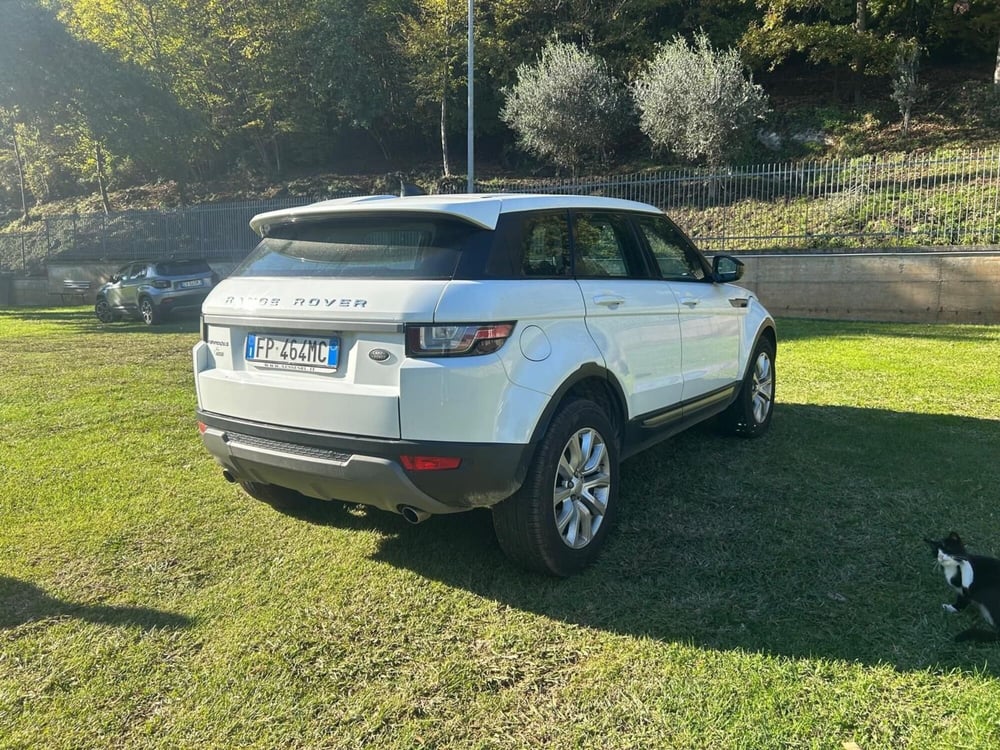 Land Rover Range Rover Evoque usata a Avellino (3)