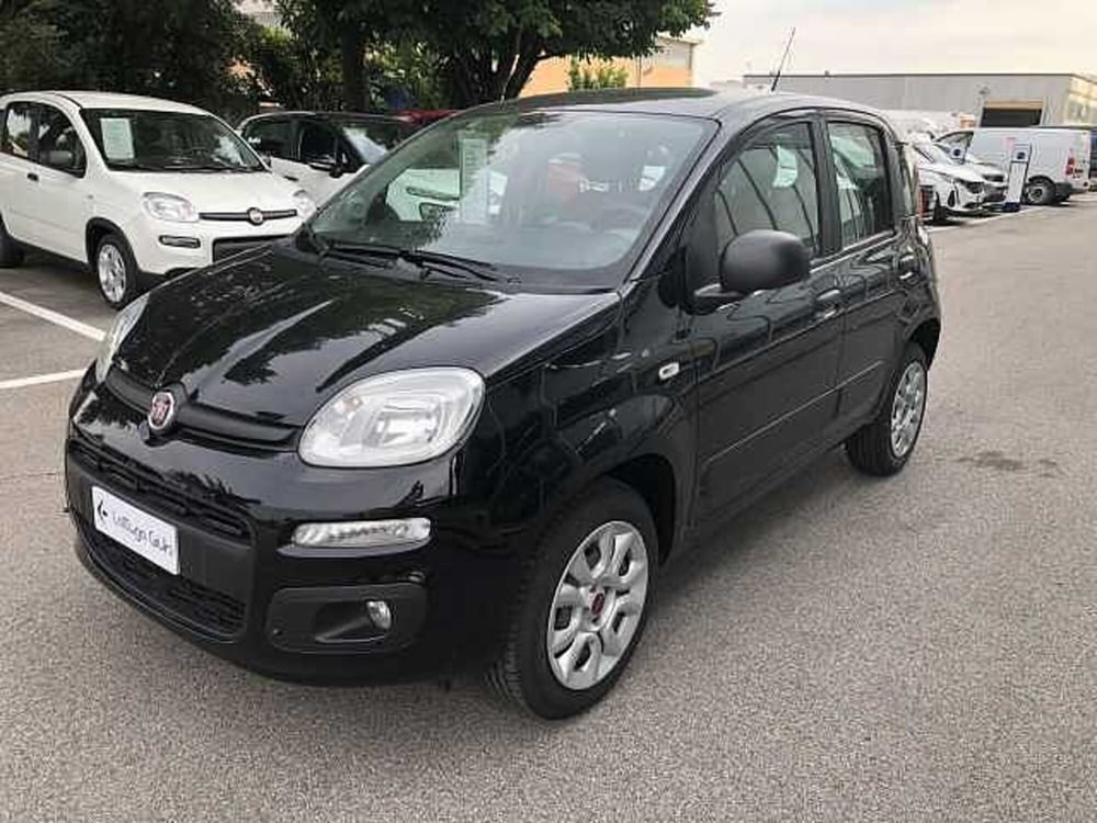 Fiat Panda usata a Ravenna