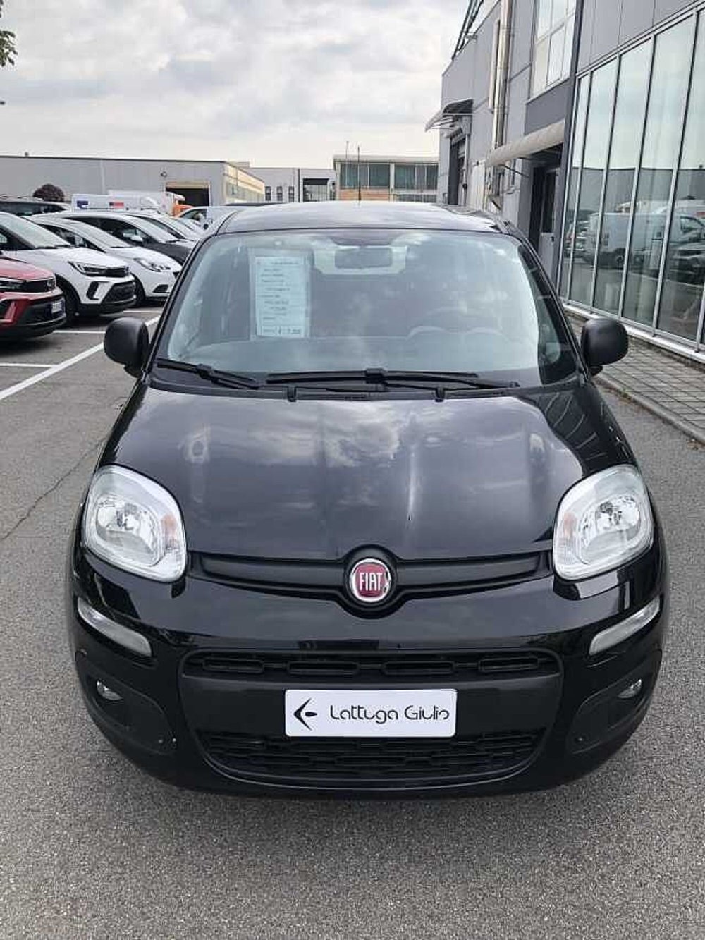 Fiat Panda usata a Ravenna (2)