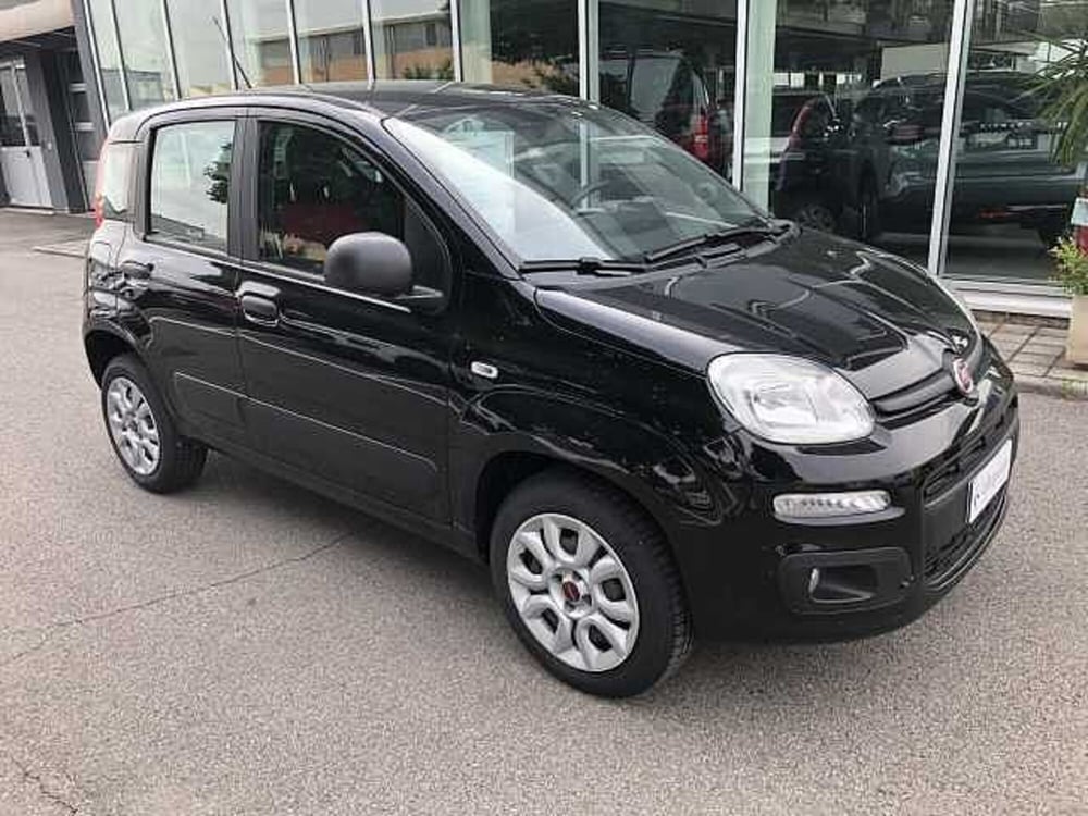 Fiat Panda usata a Ravenna (3)
