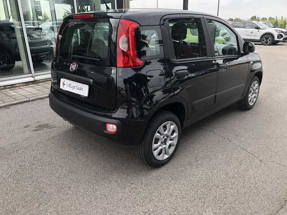 Fiat Panda usata a Ravenna (4)