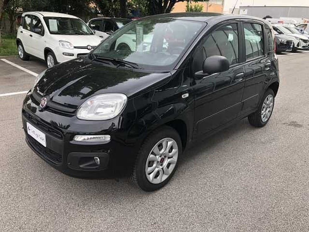 Fiat Panda usata a Ravenna (7)