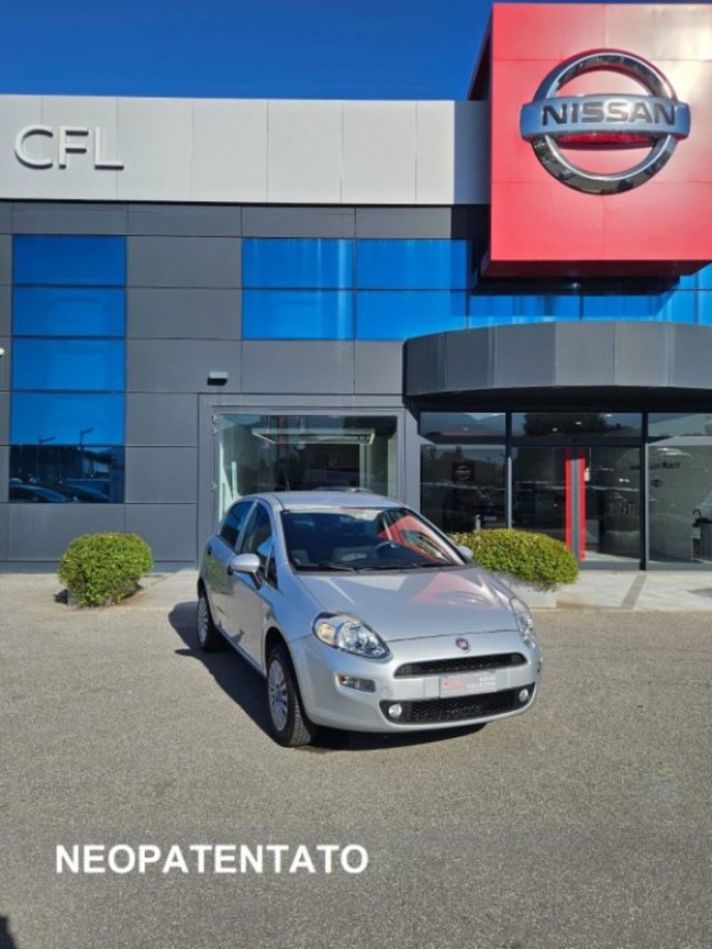 Fiat Punto usata a Lucca
