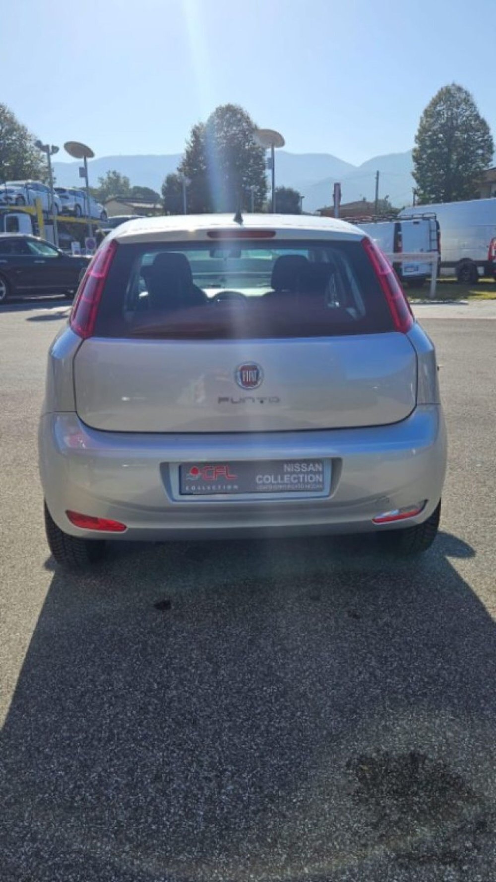 Fiat Punto usata a Lucca (5)