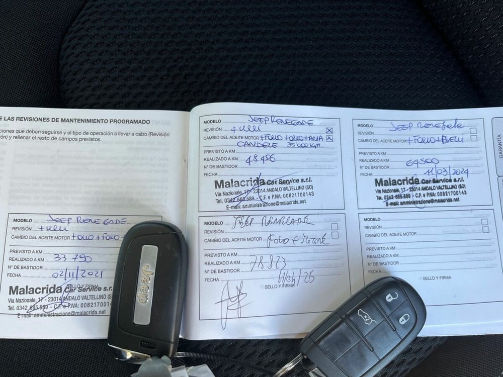 Jeep Renegade usata a Sondrio (17)