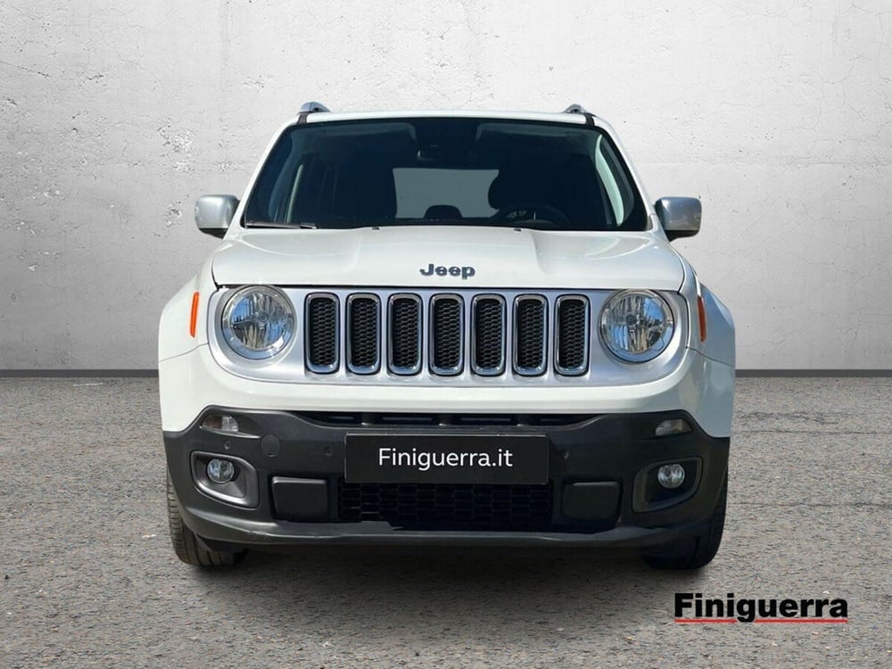 Jeep Renegade usata a Sondrio (2)