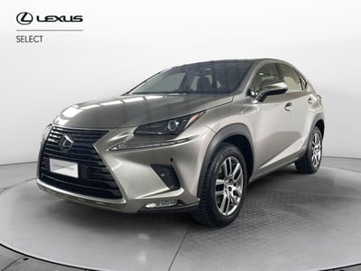 Lexus NX Hybrid 4WD Premium del 2019 usata a Montebelluna