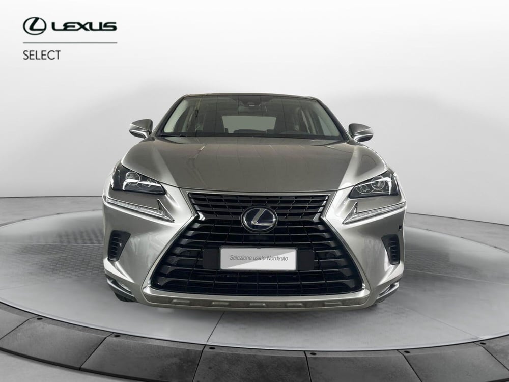 Lexus NX usata a Treviso (2)