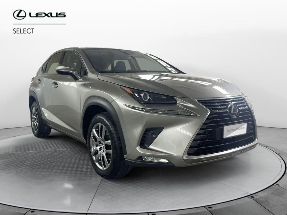 Lexus NX usata a Treviso (3)