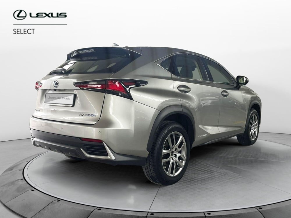 Lexus NX usata a Treviso (5)
