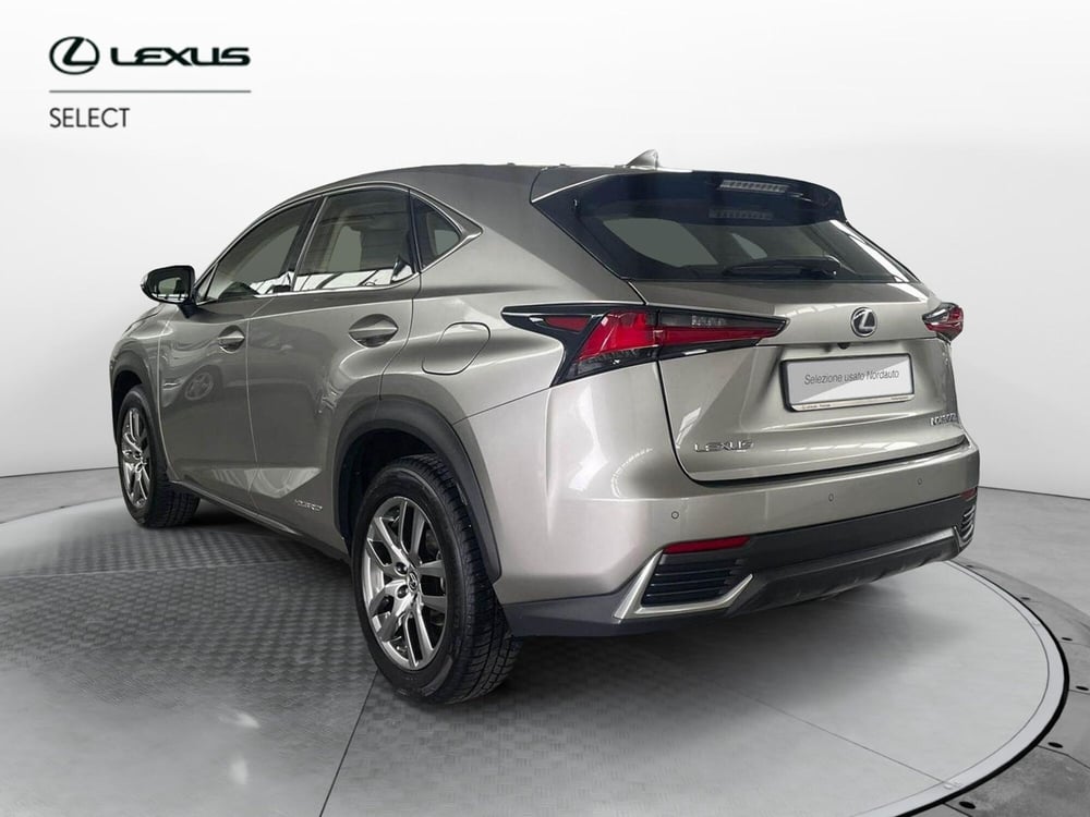 Lexus NX usata a Treviso (7)