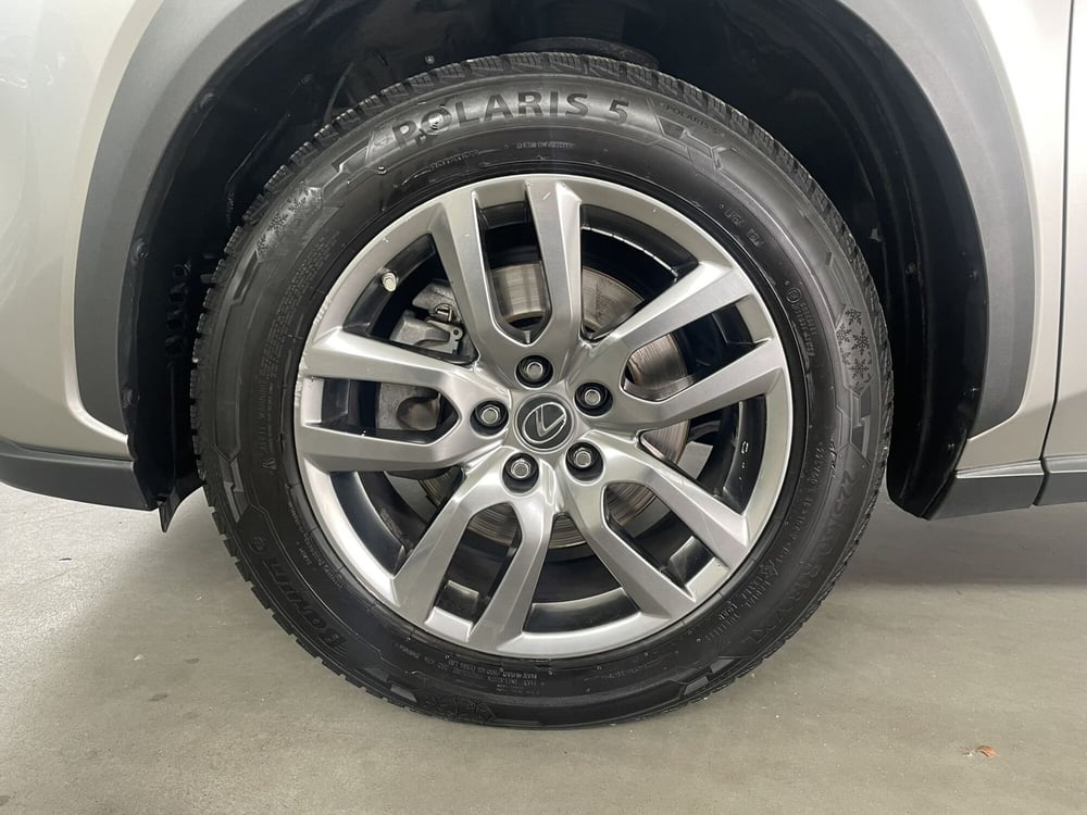 Lexus NX usata a Treviso (8)