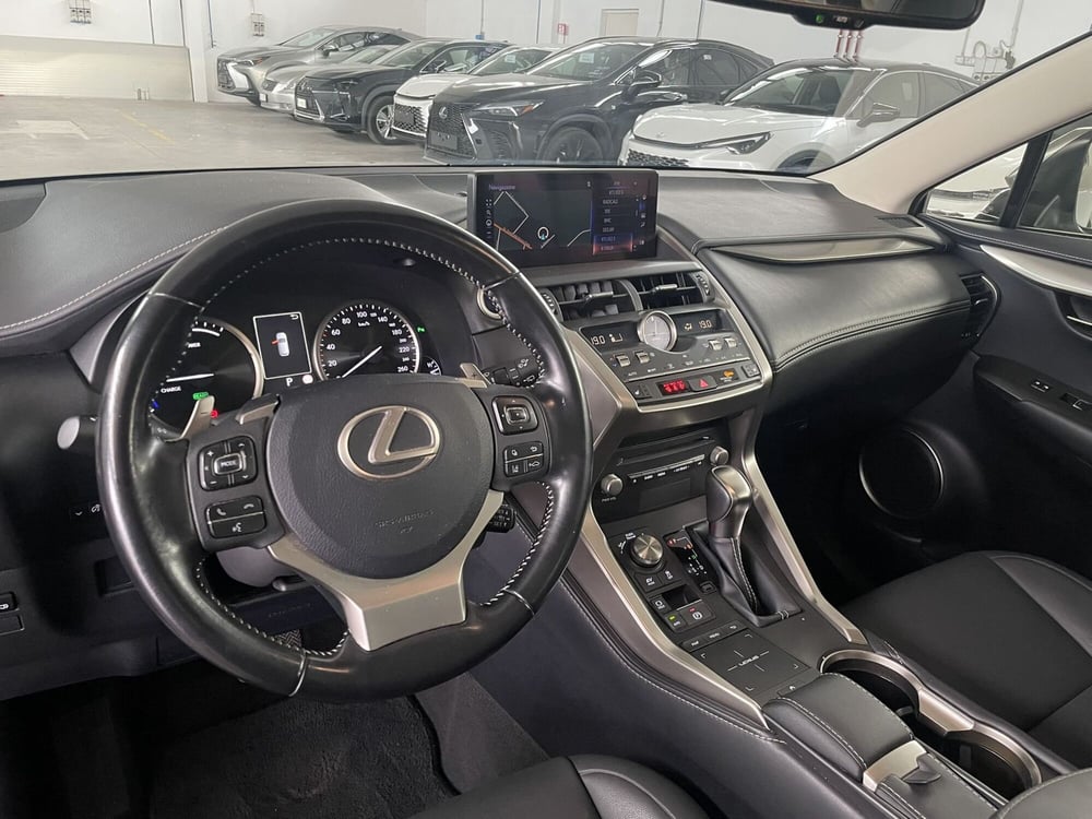 Lexus NX usata a Treviso (9)