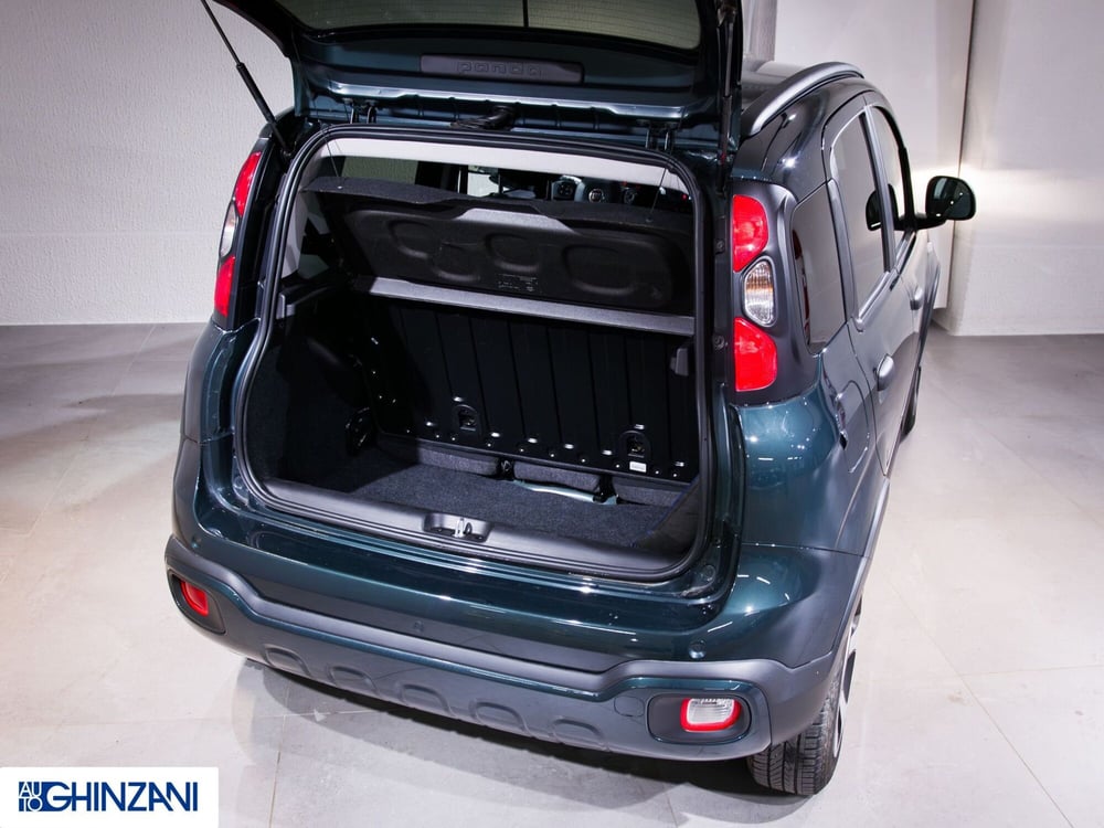 Fiat Panda Cross usata a Bergamo (13)