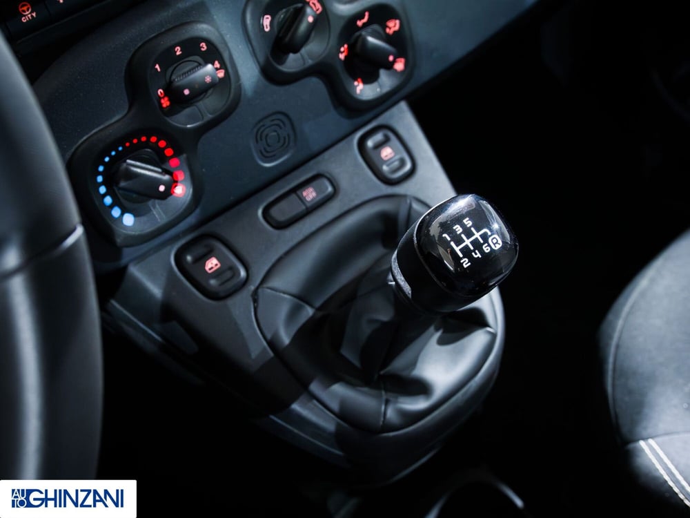 Fiat Panda Cross usata a Bergamo (16)