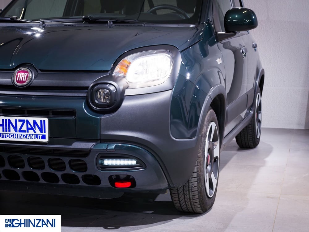 Fiat Panda Cross usata a Bergamo (17)