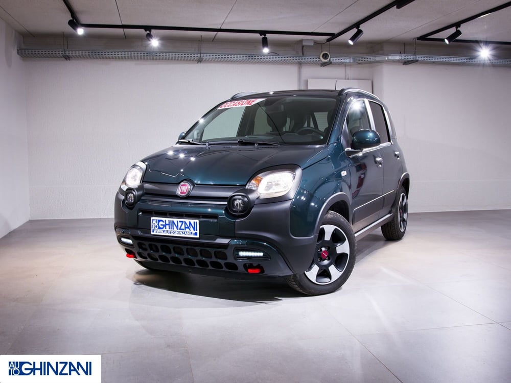 Fiat Panda Cross usata a Bergamo (2)