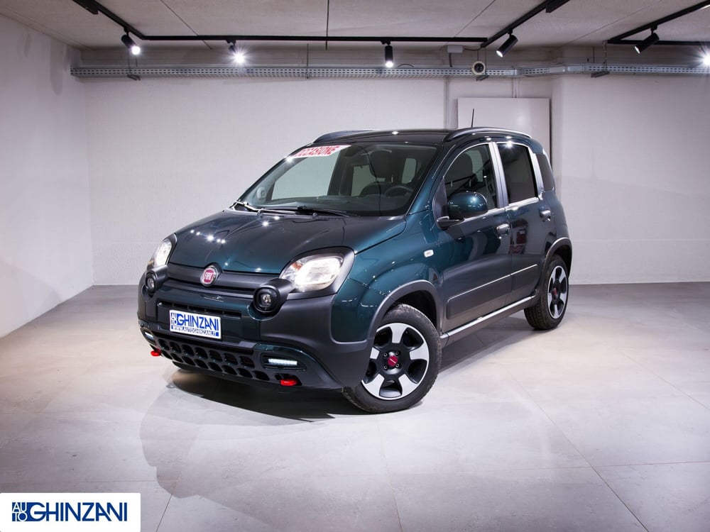 Fiat Panda Cross usata a Bergamo (3)