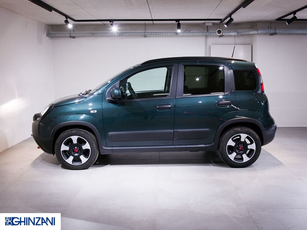 Fiat Panda Cross usata a Bergamo (5)