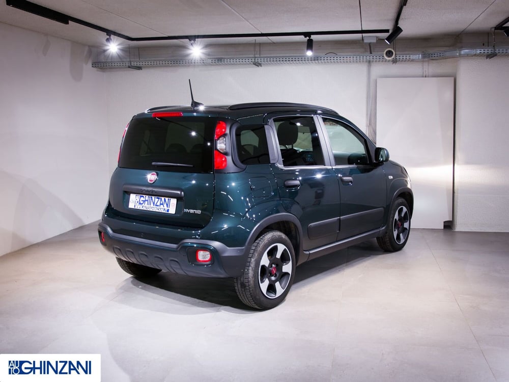 Fiat Panda Cross usata a Bergamo (7)